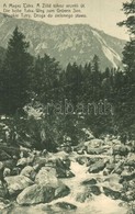 ** T2 Tátra, Magas Tátra, Vysoké Tatry; Zöld-tóhoz Vezető út / Weg Zum Grünen See / Creek - Non Classificati