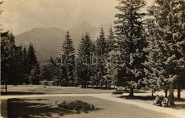 T2 1930 Tátralomnic, Tatranska Lomnica; Parkrészlet / Park Detail, Photo - Ohne Zuordnung