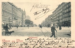 T2/T3 1900 Vienna, Wien I. Schottenring / Street, Tram, Dog (kis Szakadás / Small Tear) - Zonder Classificatie