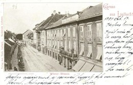 T3/T4 1898 Ljubljana, Laibach; Wiener Strasse. Verlag Ant. Turk / Street View (cut) - Zonder Classificatie