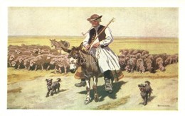 ** T1 Megy A Juhász Szamáron; Hortobágyi Folklór Művészlap / Hungarian Folklore Art Postcard S: Benyovszky - Ohne Zuordnung