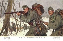 ** T1 Weltkrieg 1914-1916 - K.u.K. Feldjäger-Bataillon Nr. 29. Verlag K.u.K. Kmdo. Der 27. Inf. Trp. Dion. / WWI Austro- - Zonder Classificatie