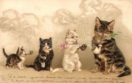 T2/T3 1899 Cats Smoking Pipes. Litho (EK) - Ohne Zuordnung