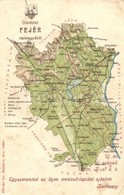 T3 1900 Fejér Vármegye Térképe; Kiadja Károlyi Gy. / Map Of Fejér County (Rb) - Ohne Zuordnung