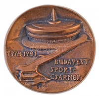 1981. 'Budapest Sportcsarnok 1978-1981' Br Emlékplakett, Sérült Műanyag Tokban. Szign.:BH(?) (77,5mm) T:2 - Unclassified