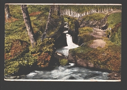 Petite Suisse Luxembourgeoise - Müllertal - Partie De La Hallerbach - 1929 - Muellerthal