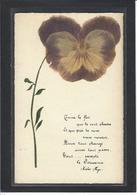 CPA Herbier Vraies Fleurs Séchées Naturelles En Relief Sur Carte Postale 9 X 14 Non Circulé Pensée Victor Hugo - Autres & Non Classés