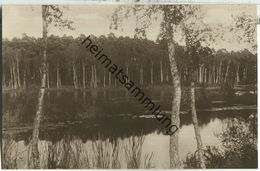 Waren - Wienpietschsee - Foto-Ansichtskarte 20er Jahre - Verlag L. Maass Waren - Waren (Mueritz)