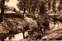 Belgique. Rebecq Rognon. La Senne Au Hameau Du Houx - Rebecq