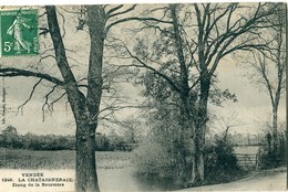 85 - La Chataigneraie : Etang De La Boursière - La Chataigneraie