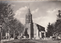 LISLE Sur TARN    L'Eglise - Lisle Sur Tarn