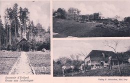 Evilard, Gruss Aus Leubringen, Ferme Et Chalet (3.8.1906) - Evilard