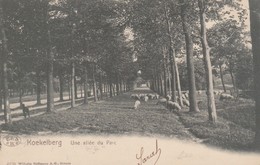 Koekelberg, Une Allée Du Parc - Koekelberg