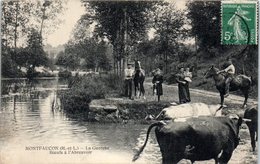 49 - MONTFAUCON -- La Guerche - Boeufs à L'abreuvoir - Montfaucon