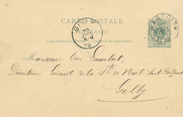 142/28 - Entier Postal Lion Couché WARCOING 1888 Vers GILLY - Cachet Louis Lefebvre , Charbons Et Cokes - Cartes Postales 1871-1909