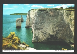 Swanage - Old Harry Rocks - Swanage