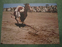 Pakhtia Tentpegging - Afghanistan