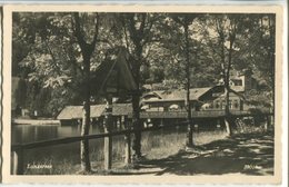 Lunzersee - Lunz Am See