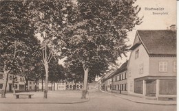 Bas-rhin : BISCHWEILER - BISCHWILLER : Baumplatz - Bischwiller