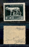 REPUBBLICA SOCIALE - GNR VERONA - 1944 - Errore Di Colore - 2,55 Lire (483A) - Soprastampa Nera - Gomma Integra - Caffaz - Other & Unclassified