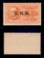 REPUBBLICA SOCIALE - GNR VERONA - 1944 - GNR Verona - Espressi - 2,50 Lire (20) - Gomma Integra (700) - Altri & Non Classificati