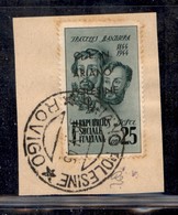 CLN - LOCALI - ARIANO POLESINE - 1945 - 25 Cent Bandiera (Errani 44l) Usato Su Frammento - ; Dopo C - Otros & Sin Clasificación