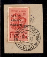 CLN - LOCALI - ARIANO POLESINE - 1945 - 2,50 Lire Bandiera (Errani 46l) Usato Su Frammento - ; Dopo C - Other & Unclassified