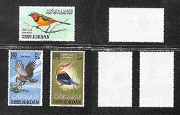 OLTREMARE - GIORDANIA - 1964 - Uccelli (490/492A-Posta Aerea) - Serie Completa - Gomma Integra (250) - Sonstige & Ohne Zuordnung