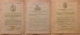 DOCUMENTI - VARIE - Governo Provvisorio Piemontese - 1799 (28.1)/1800 (3.7-27.9) - 3 Decreti - Altri & Non Classificati