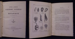 DOCUMENTI - VARIE - 1875 - Botanique - Cours Abrege D’Histoire Naturelle - 164 Pagine Con Una Trentina Di Inserti Illust - Autres & Non Classés