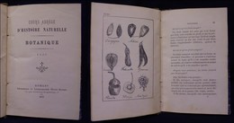 DOCUMENTI - VARIE - 1875 - Botanique - Cours Abrege D’Histoire Naturelle - 164 Pagine Con Una Trentina Di Inserti Illust - Otros & Sin Clasificación