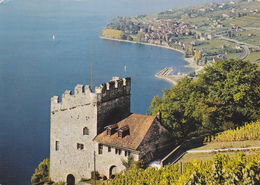 SUISSE,HELVETIA,SWISS,VAUD,LAVAUX,VIN,VIGNE,VIGNOBLE,MARSENS,CULLY - Cully