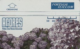 AZORES - First Card Issued, Mint - Autres - Europe