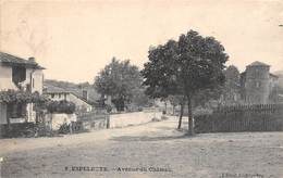 Espelette       64        Avenue Du Château      (voir Scan) - Espelette
