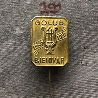 Badge Pin ZN007638 - Music Yugoslavia Croatia Golub Bjelovar 1927 - Musique