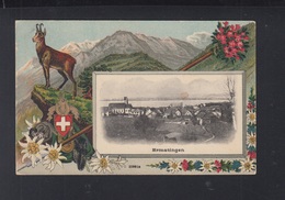 Schweiz AK Ermatingen 1918 - Ermatingen