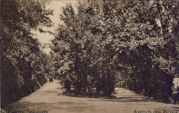 PEDRAS SALGADAS - Avenida Dos Hoteis - PORTUGAL - Vila Real