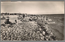 CPSM 66 - Canet En Roussillon - Plage - La Plage - Canet En Roussillon