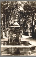 CPSM 83 - Cotignac - La Fontaine Des 4 Saisons - Cotignac