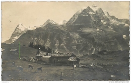 Suisse BE MURREN Miichkurort Spielbodenalp Ob Mürren Eiger Mönch Und Jungfrau CPSM 1922 Ed Nikles - Mürren