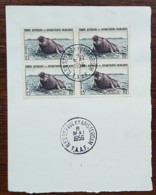 TAAF - YT N°7 - Bloc De 4 - Faune / Elephant De Mer - Oblitérés - 1956 - Oblitérés