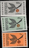 1965 UNUSED STAMP SET ON EUROPA FROM CYPRUS/COMMON DESIGN -SPIKE EUROPA/LEAVES & CEPT INITIALS - 1965