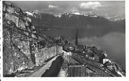 VAUD  - LAVAUX ST SAPHORIN - Perrochet, Phot. ,Lausanne No 5481 - Pas Voyagé - NEUVE - Saint-Saphorin