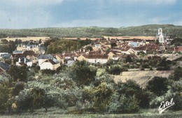 ESSOYES - VUE GENERALE SUR LE BOURG - BELLE CARTE PHOTO DES ANNEES 60, COLORISEE , GLACEE - 2 SCANNS -  TOP !!! - Essoyes