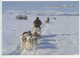 Canadian Arctic : Dog Teams On Trail At - 20° (cp Vierge) Attelage Chien De Traineau - Autres & Non Classés