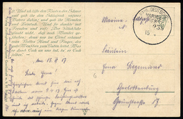 MSP VON 1914 - 1918 235 (2. Halbflottille Der Handelsschutzflottille), 15.10.1917, Feldpost-Künstlerkarte Nach Charlotte - Turchia (uffici)