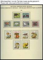 SAMMLUNGEN **, Bis Auf Mi.Nr. 2500 Und 2548 Komplette Postfrische Sammlung DDR Von 1980-83 Im Schaubek Falzlosalbum, Pra - Verzamelingen