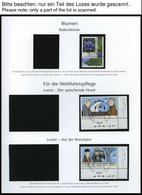 JAHRGÄNGE 2835-2899 O, 2011, Kompletter Jahrgang, Ohne Selbstklebende Marken, Jeweils Aus Der Rechten Unteren Bogenecke, - Used Stamps