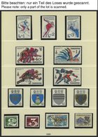 TSCHECHOSLOWAKEI **, O, Bis Auf 2 Werte Wohl Postfrische Komplette Sammlung Tschechoslowakei Von 1980-91 In 2 Schaubek F - Verzamelingen & Reeksen