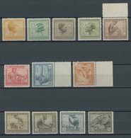 BELGISCH-KONGO 66-77 **, 1923/4, Kongo, Postfrischer Prachtsatz - Altri & Non Classificati